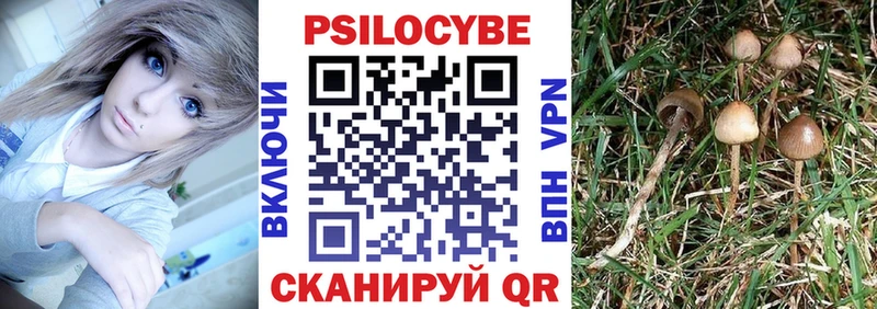наркотики  Сосенский  Галлюциногенные грибы прущие грибы 