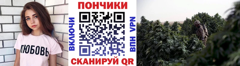 купить  цена  Сосенский  Марихуана AK-47 